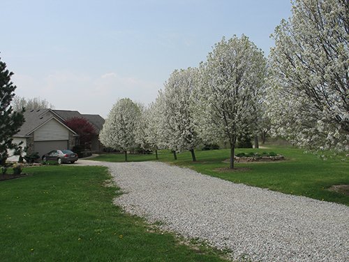 tract 4 - REAL ESTATE AUCTION, 163+/- Acres offered in 8 Tracts